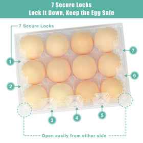 SINLUCESCE clear carton enables quick egg condition checks at a glance