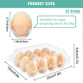 SINLUCESCE display-ready carton arranged for market shelves
