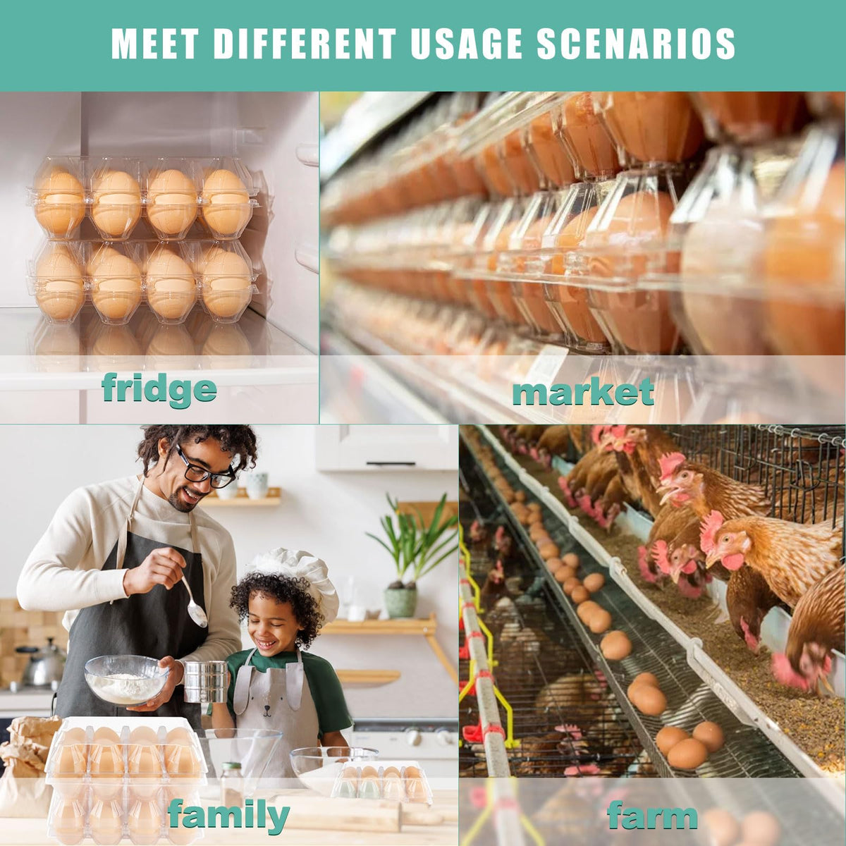 SINLUCESCE recyclable PET egg cartons emphasizing eco-friendly use