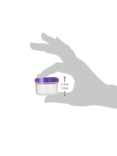 Sistema dressing containers with screw-top lids ensure contents stay contained during transport