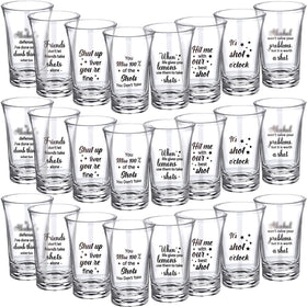 Skyley 24-pcs funny shot glasses assembly with varied quotes for lively parties