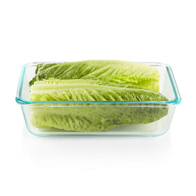 Snapware glass rectangle stored in fridge demonstrating versatile storage and easy organization.