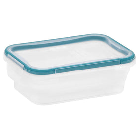 Microwave-safe Snapware containers for fast reheating convenience.