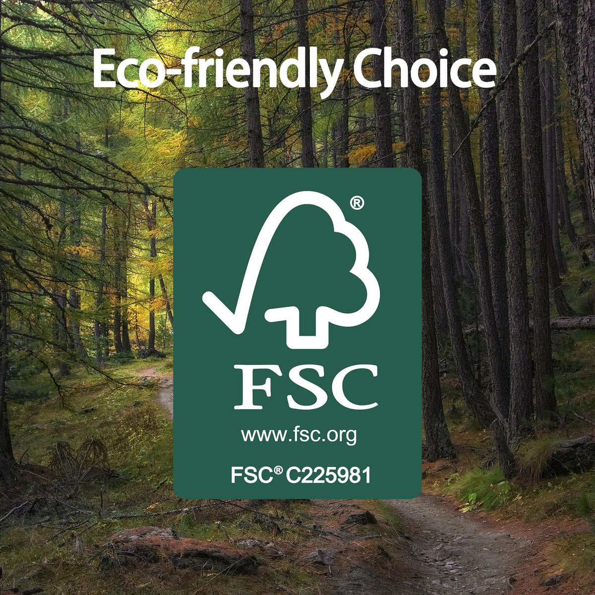 Sofkii FSC-certified napkins support sustainable forests and eco-friendly dining.