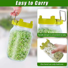 Sozize sprouting kit metal stand built to last under daily use.