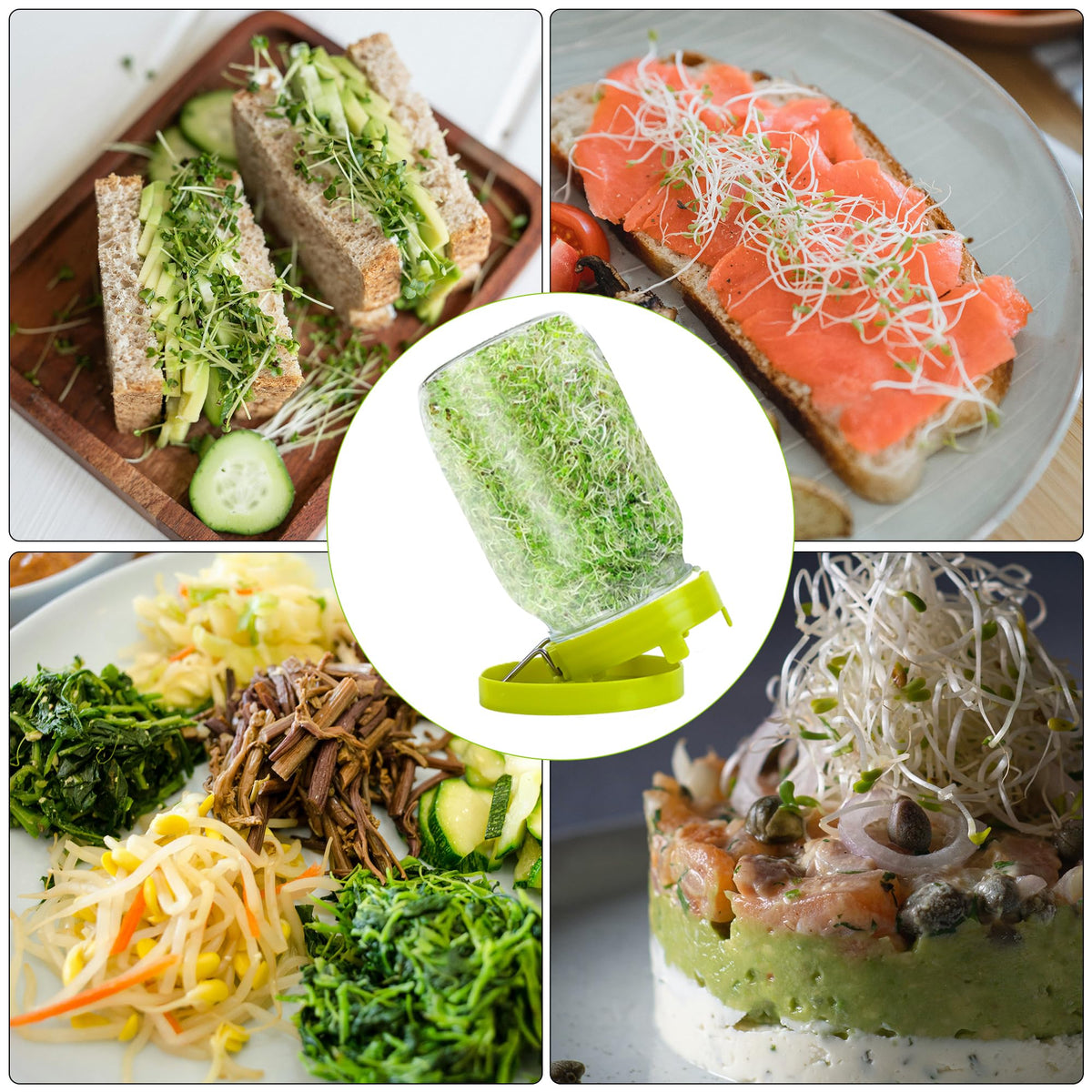 Sozize sprouting kit ideal for beans, lentils, and sprouts.
