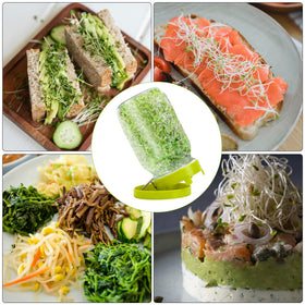 Sozize sprouting kit ideal for beans, lentils, and sprouts.