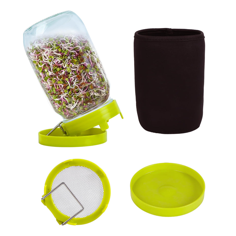 Sozize sprouting jar with lid and stand for easy drainage.