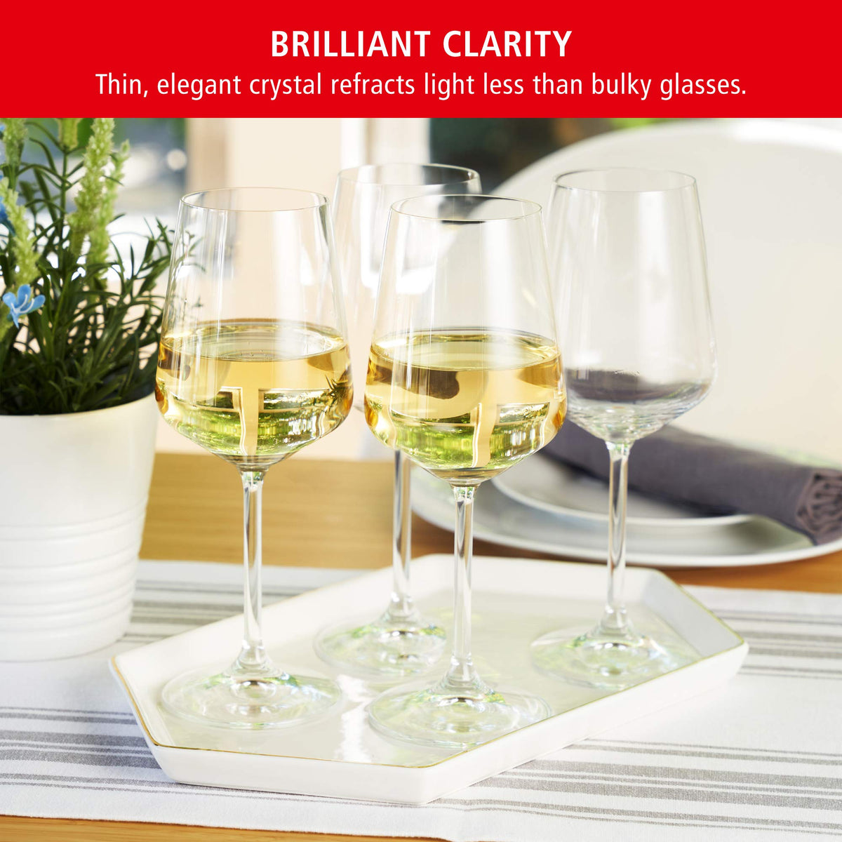 Spiegelau Style Crystal White Wine Glasses—chardonnay setup for refined white wine tasting at home