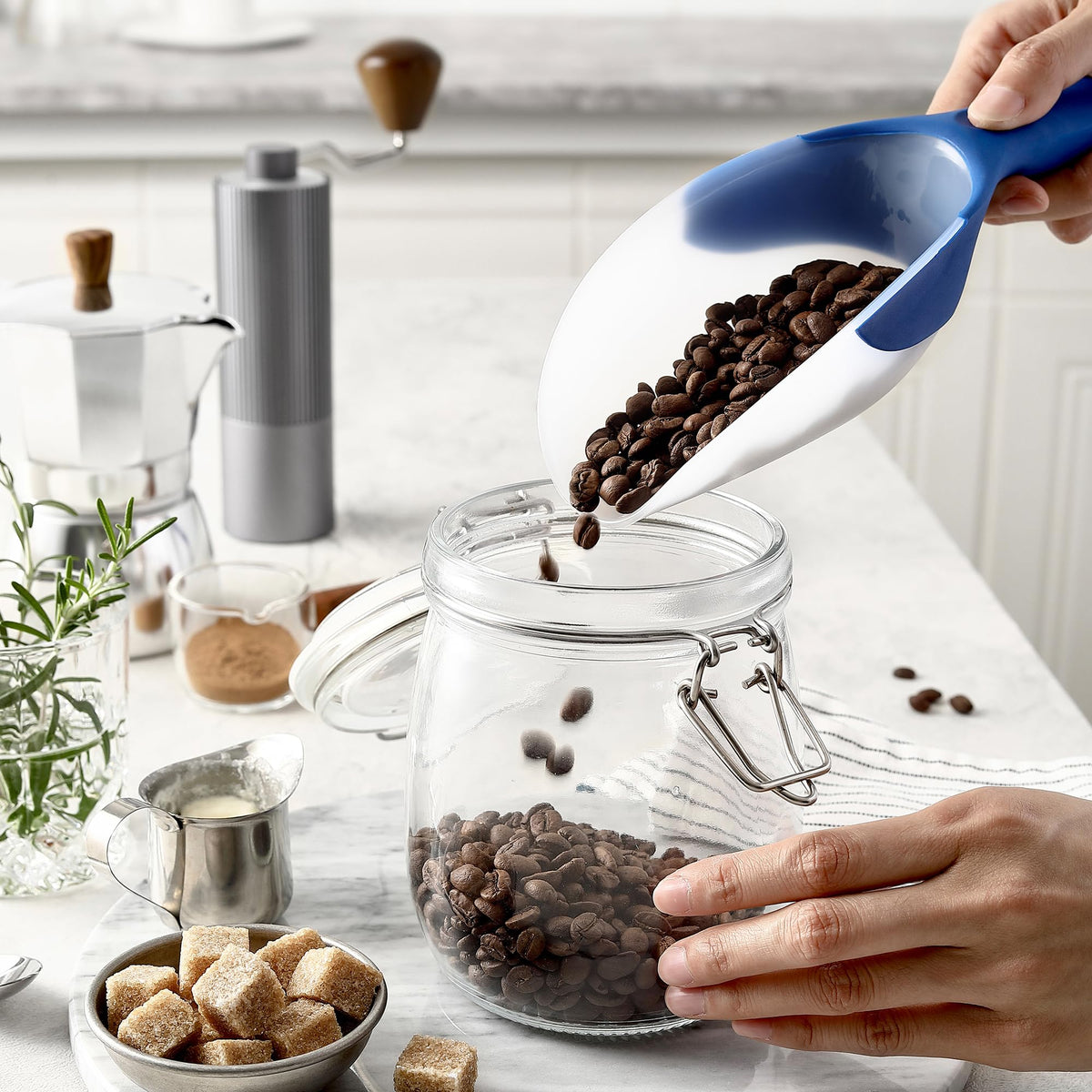One-cup capacity balances portions for ice, rice, or dry goods.