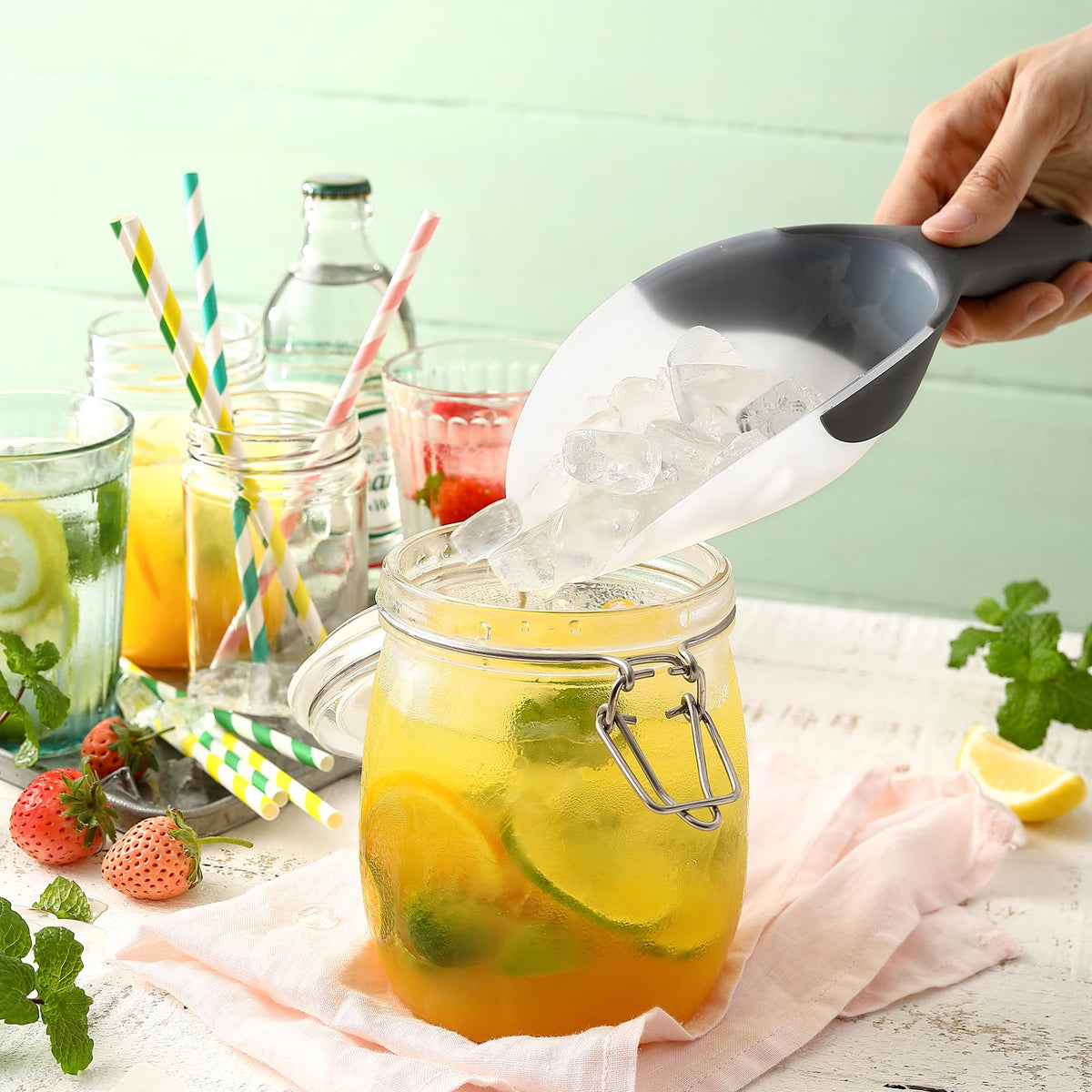 Spring Chef multi-use scoop for rice, flour, popcorn, and pet food