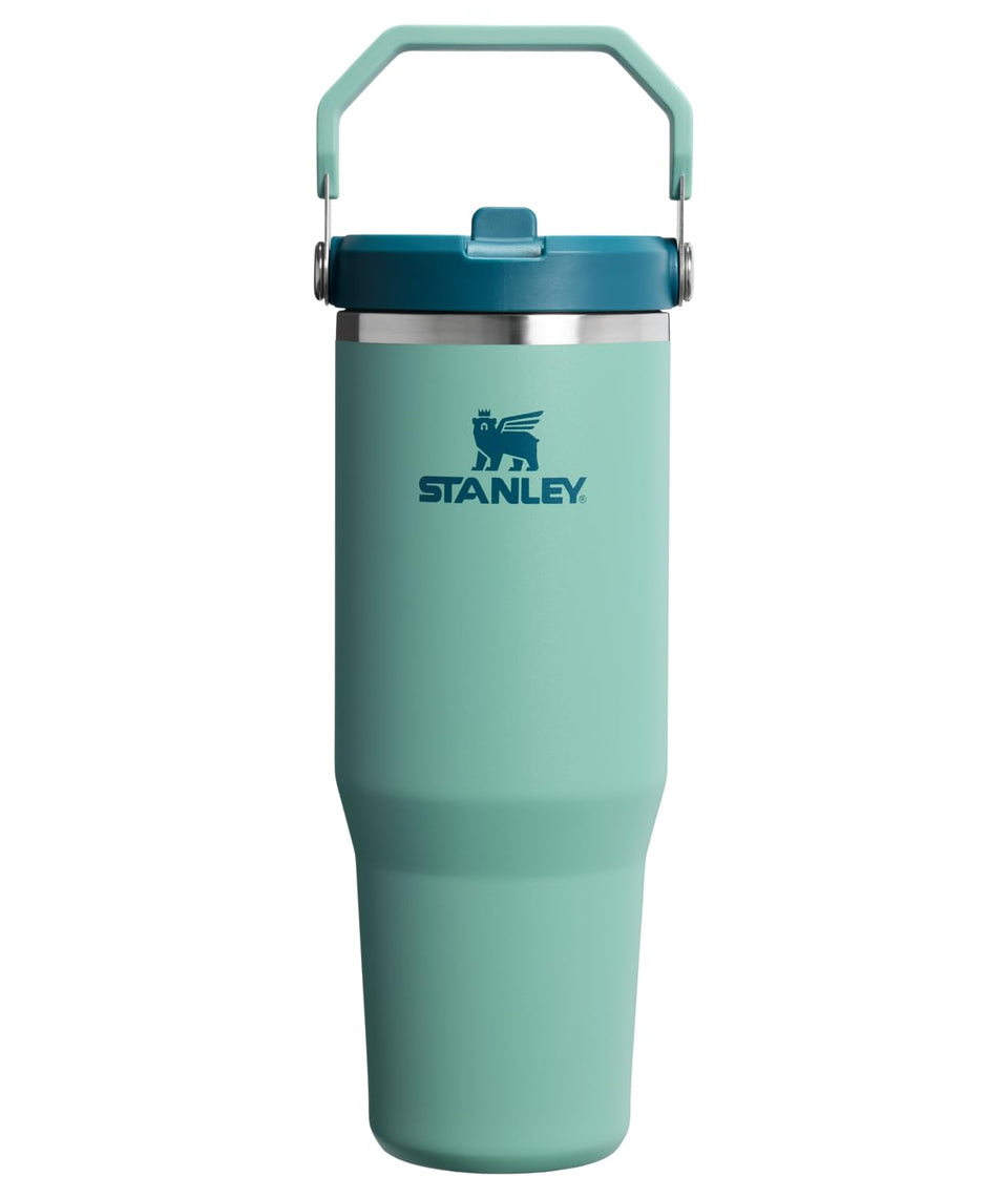 Stanley IceFlow 2.0 flip straw lid tumbler with handle for leakproof hydration on the go.