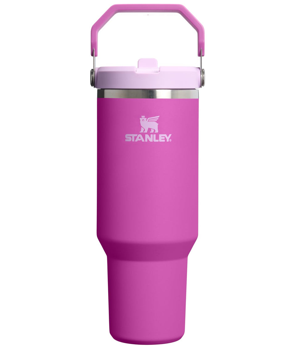 STANLEY IceFlow 2.0 flip straw tumbler with handle, leakproof on the go.