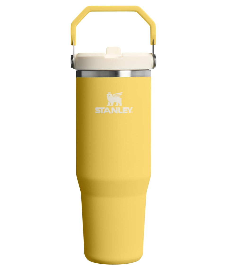 STANLEY IceFlow 2.0 flip straw tumbler with leakproof lid keeps beverages cold on the go