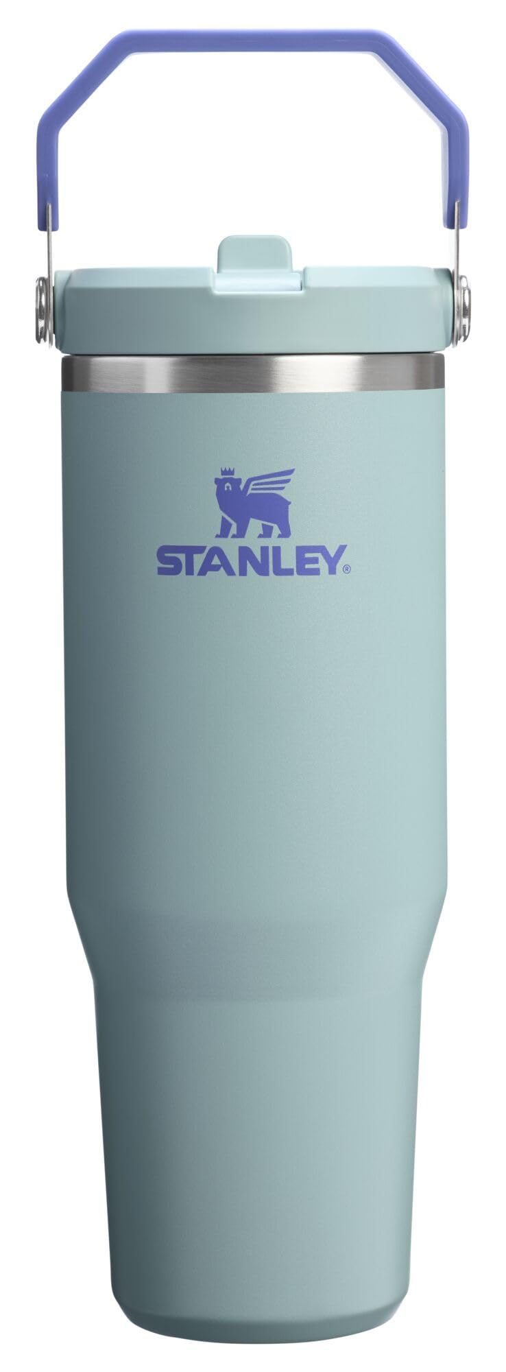 Stanley IceFlow 2.0 flip straw tumbler 30oz for on-the-go hydration and leak-free sipping.