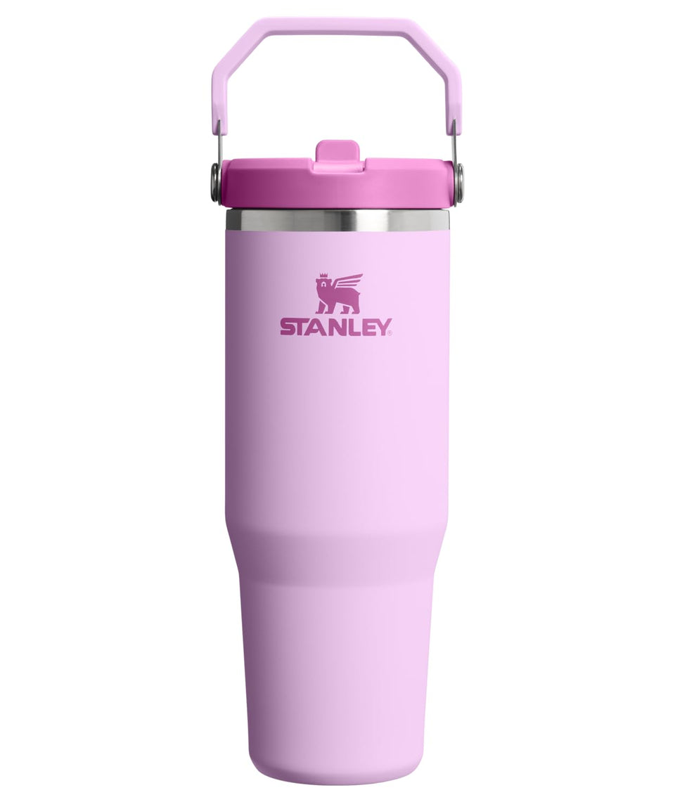 Stanley IceFlow 2.0 flip straw tumbler with handle keeps drinks cold on the go.