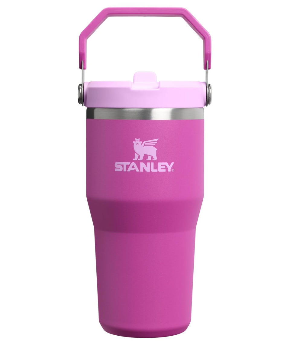 Stanley IceFlow 2.0 Flip Straw Tumbler with leakproof lid for on-the-go hydration.