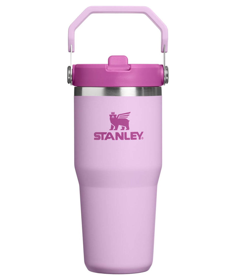 Stanley IceFlow 2.0 tumbler with flip straw lid and handle, ideal for on-the-go hydration.