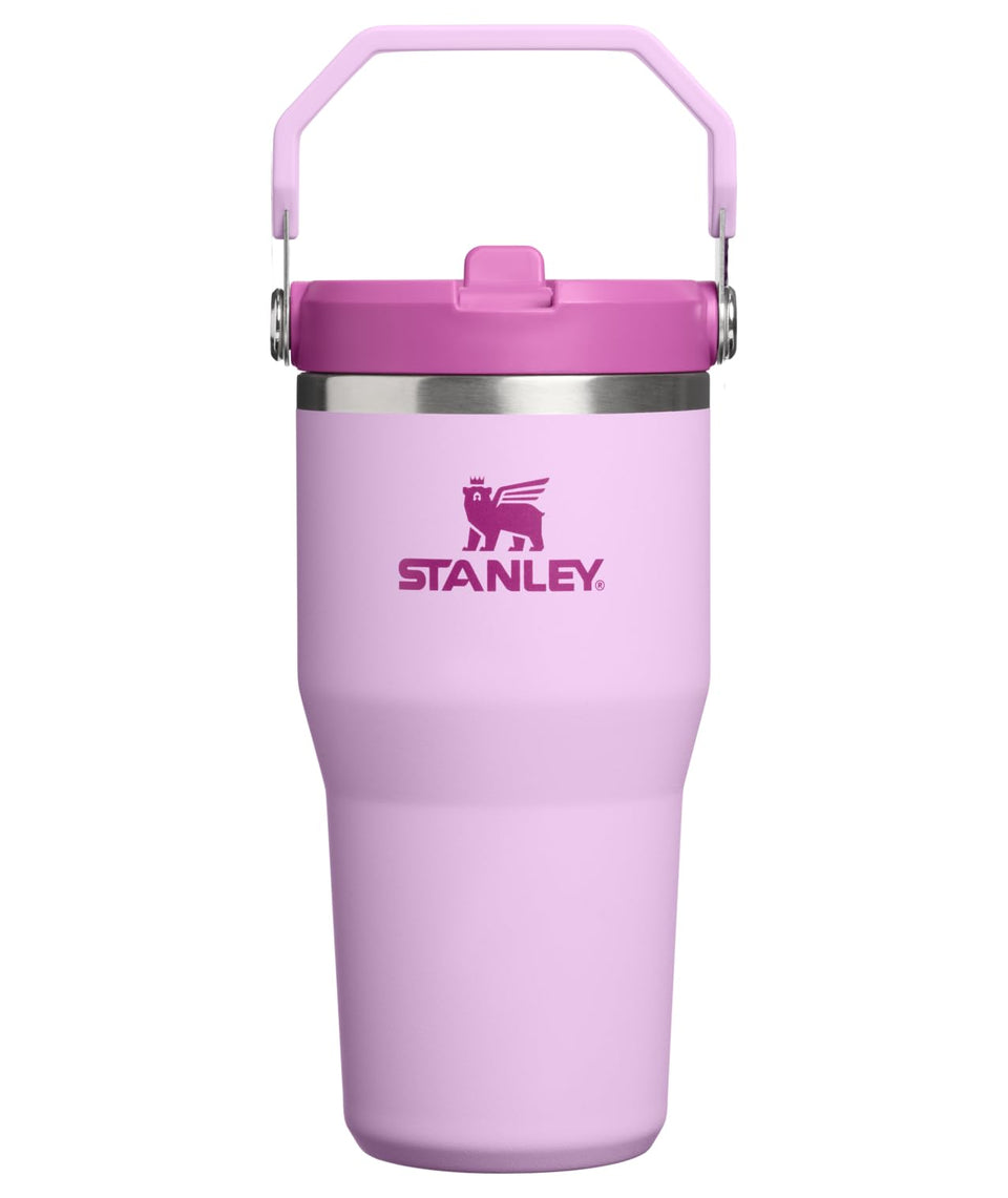 Stanley IceFlow 20oz flip-straw tumbler with leakproof lid for on-the-go hydration.