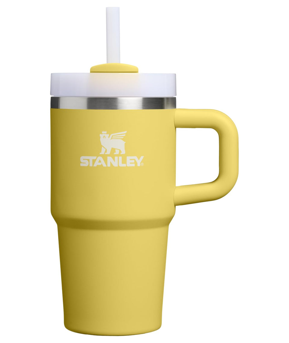 Stanley Quencher H2.0 tumbler with handle and straw for easy on-the-go hydration.