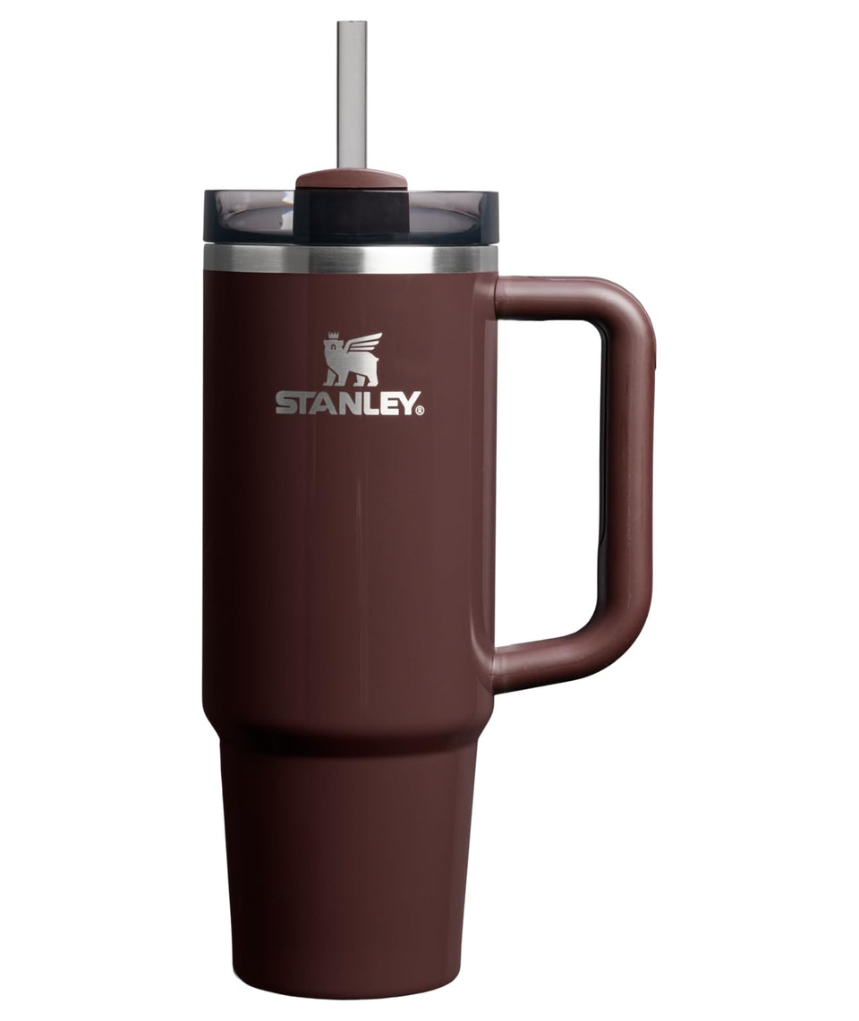 Stanley Quencher H20 Tumbler with Handle and Straw highlights easy grip and portable hydration.