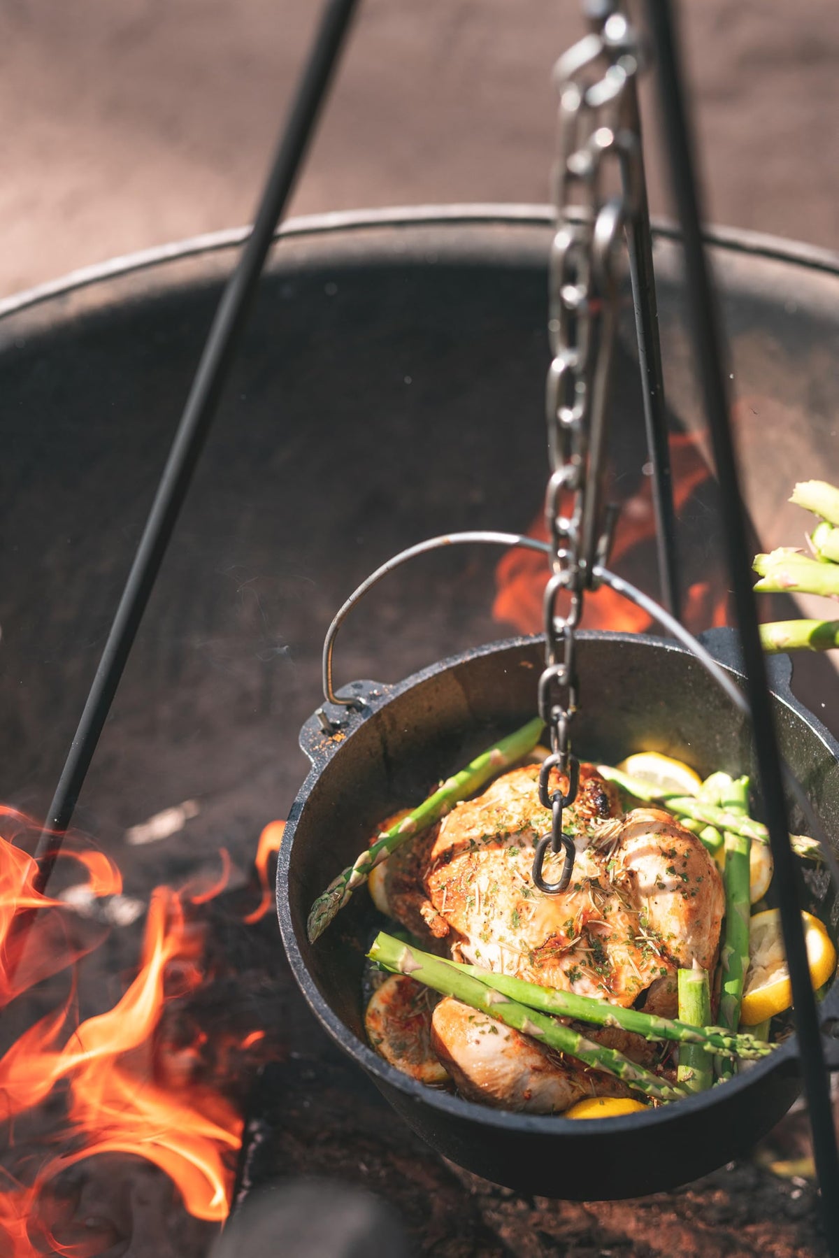 Stansport Dutch oven suitable for braising and roasting with even heat