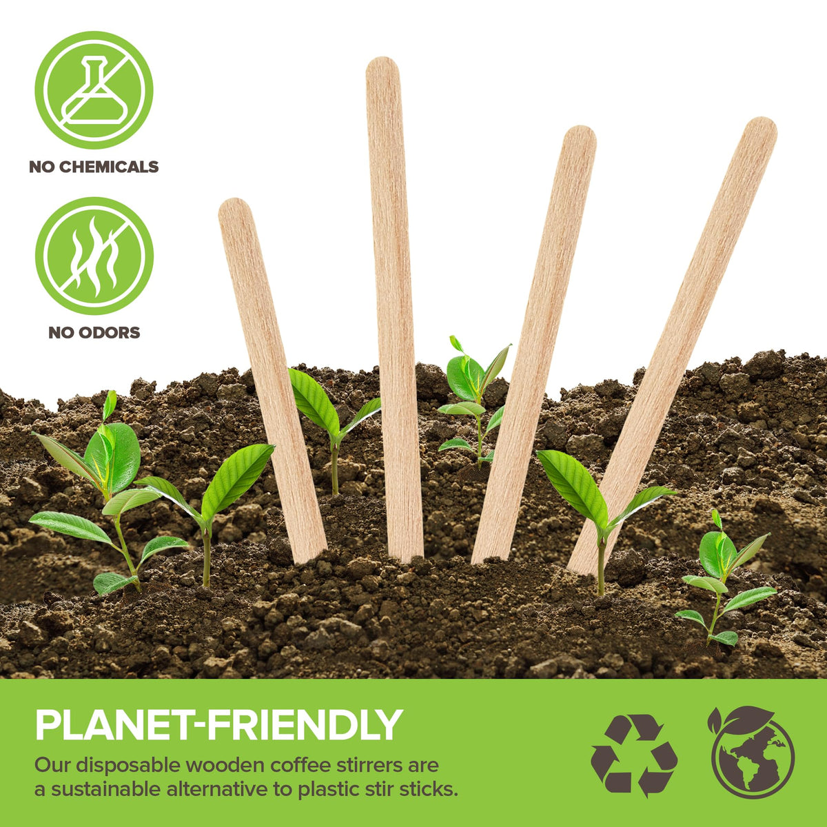 Eco-friendly wooden stir sticks offering a plastic-free option for hot drinks.