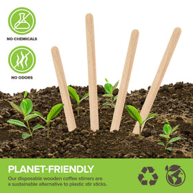Eco-friendly wooden stir sticks offering a plastic-free option for hot drinks.