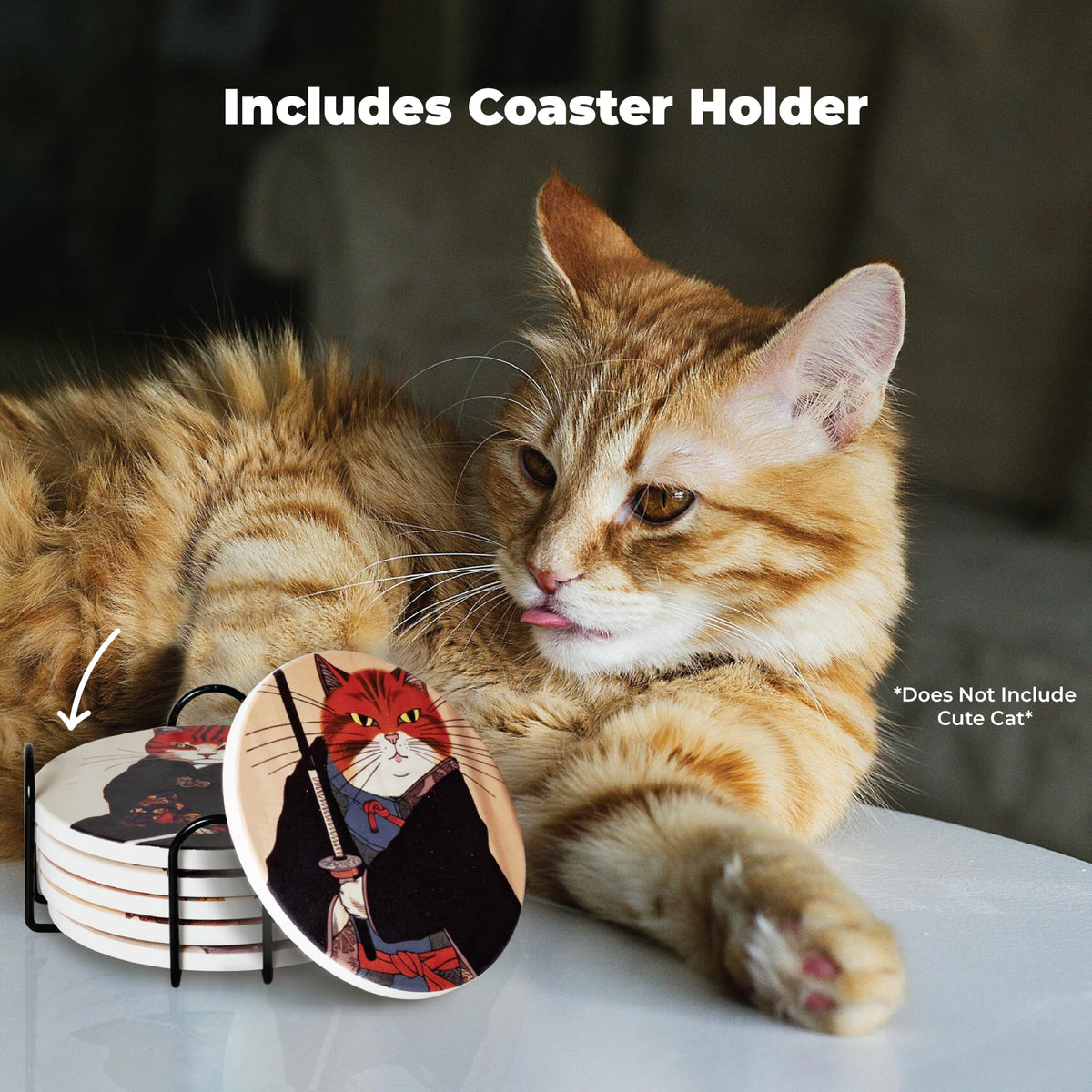 Straight Coastin Funny Cat Coasters spark conversation at gatherings.