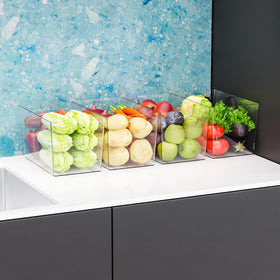 SuoXing BPA-free clear bin with handle for easy moving