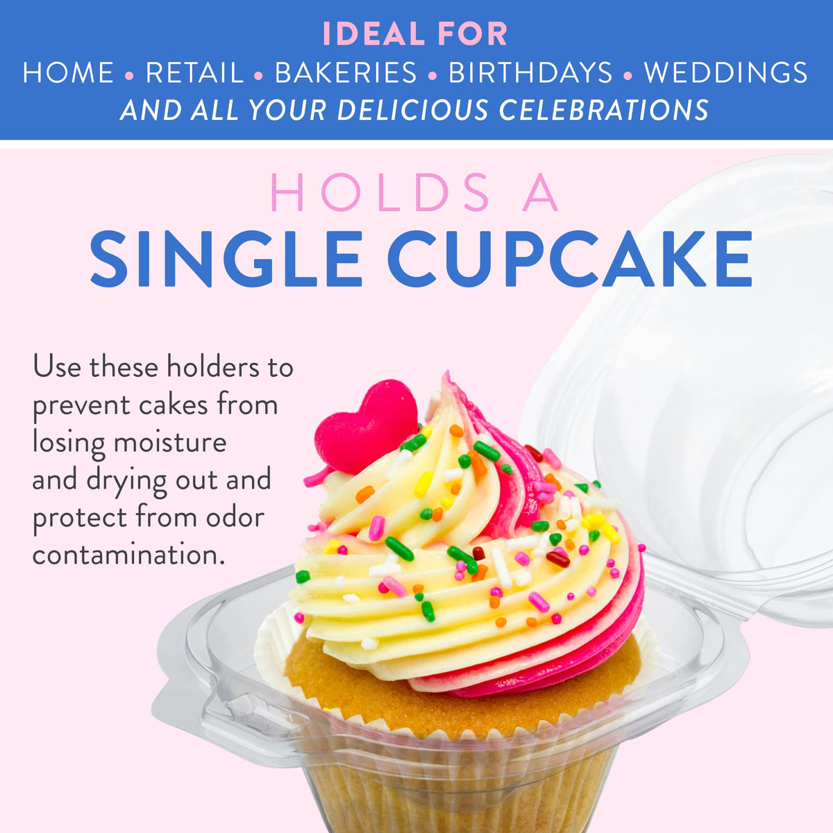 Supellectilem cupcake container with 1.75-inch top label area for logos or messages.