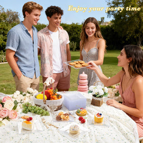 Supernal bulk-packaged dessert plates shipped with protective packaging