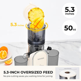 SUSTEAS juicer delivers high juice yield with efficient pulp separation.