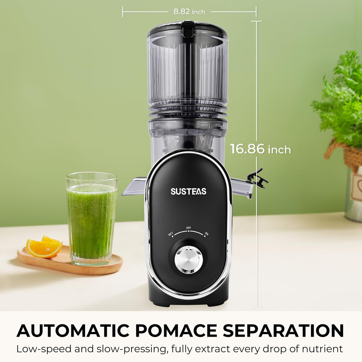 SUSTEAS gift-ready packaging highlights thoughtful kitchen gift idea.