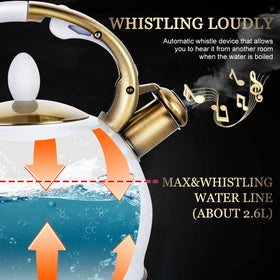 SUSTEAS kettle bottom with five-layer base heats quickly.