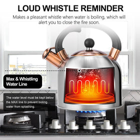 SUSTEAS kettle on induction and other stovetops for versatility
