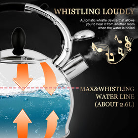 SUSTEAS thickened kettle body and premium box signal quality and gifting appeal