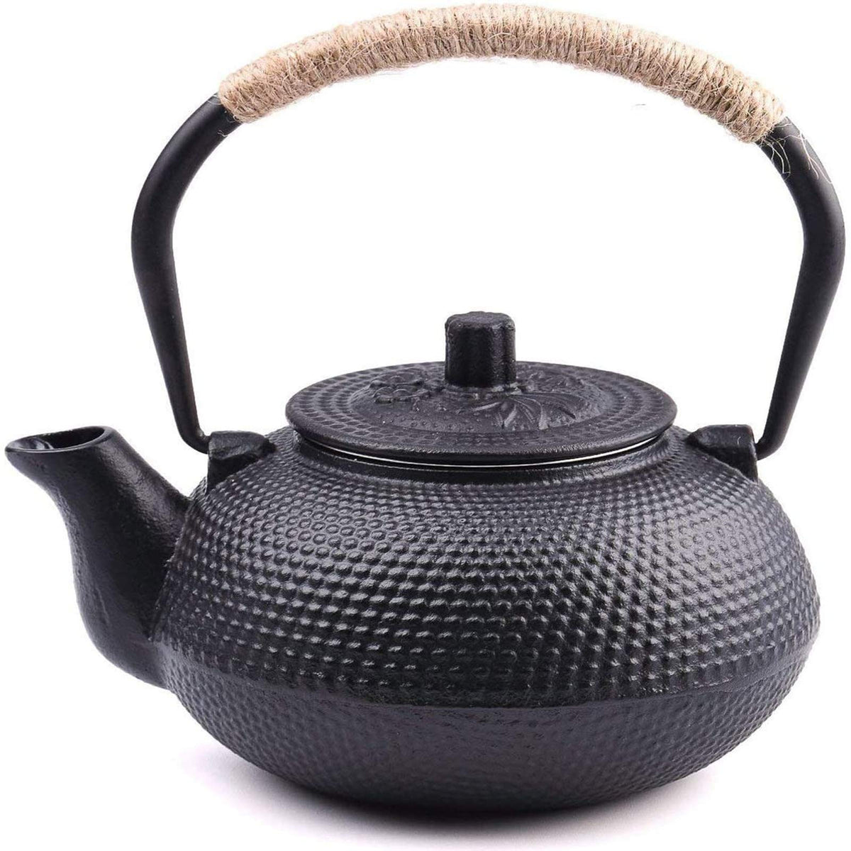 Suyika japanese tetsubin teapot on stovetop for quick tea brewing