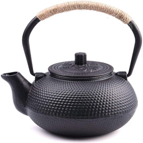Suyika japanese tetsubin teapot on stovetop for quick tea brewing