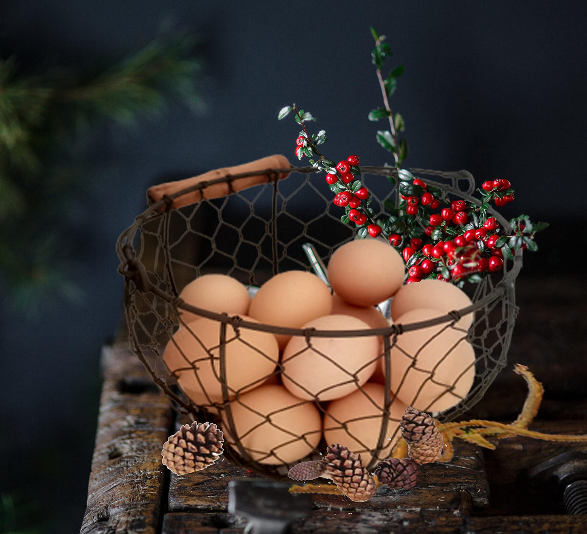 TAIANLE rustic chicken egg basket fits farmhouse decor while gathering eggs.