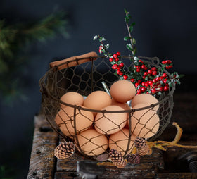 TAIANLE rustic chicken egg basket fits farmhouse decor while gathering eggs.
