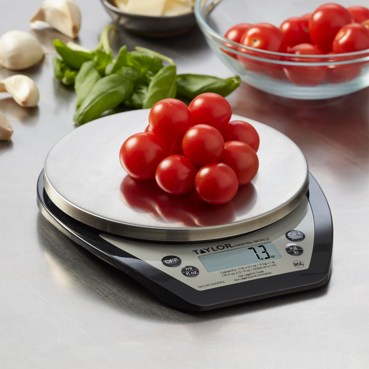 Taylor 1020NFS platform close-up highlights durable stainless steel surface for easy cleaning.