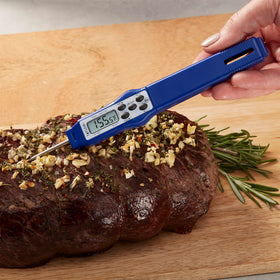 Taylor 9877FDA thermometer stem 2.81 inches ready for tight spots