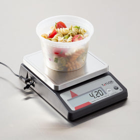 Taylor TE10FT large LCD display for precise measurements at a glance