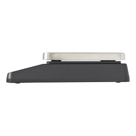 Taylor TE10FT NSF certified for professional kitchen reliability
