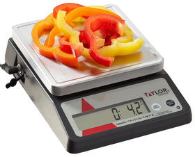 Taylor TE10FT scale platform removable for quick sanitation in busy kitchens