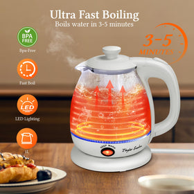 Taylor Swoden kettle with blue LED boil indicator for precise start