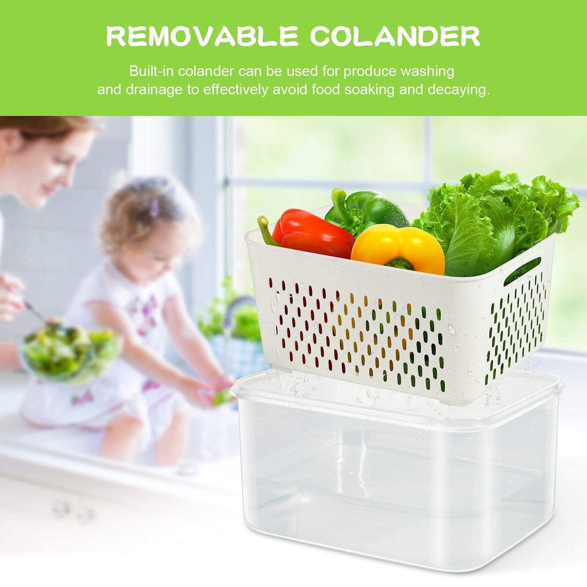 TBMax large-capacity containers fit berries, lettuce, and more