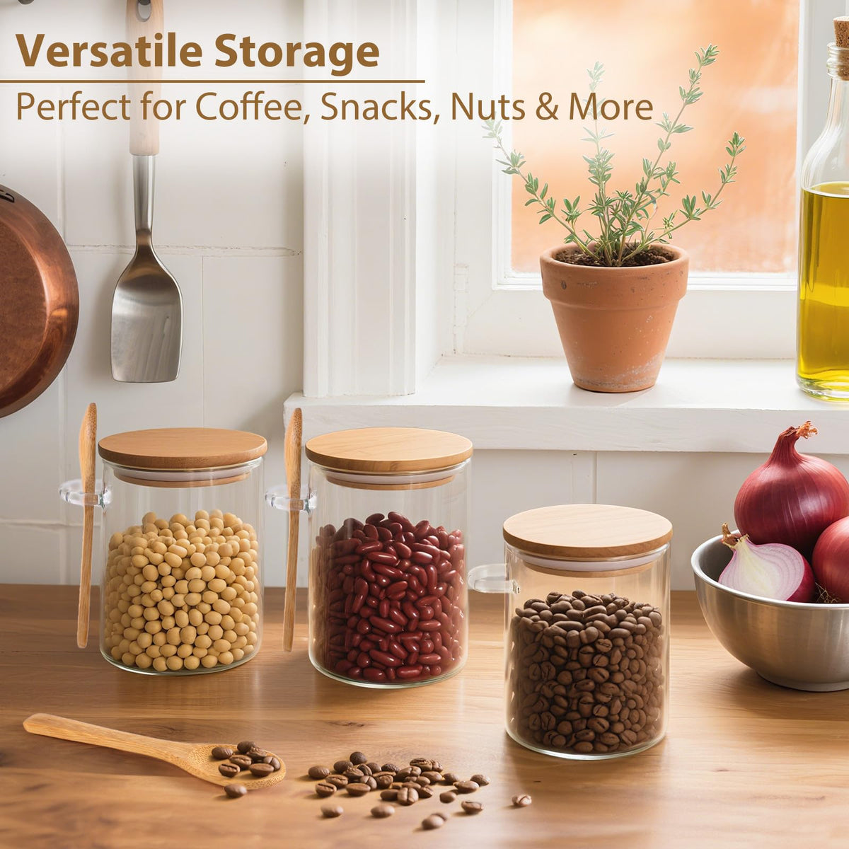 TBWIND six-pack display of jars organized for meal prep