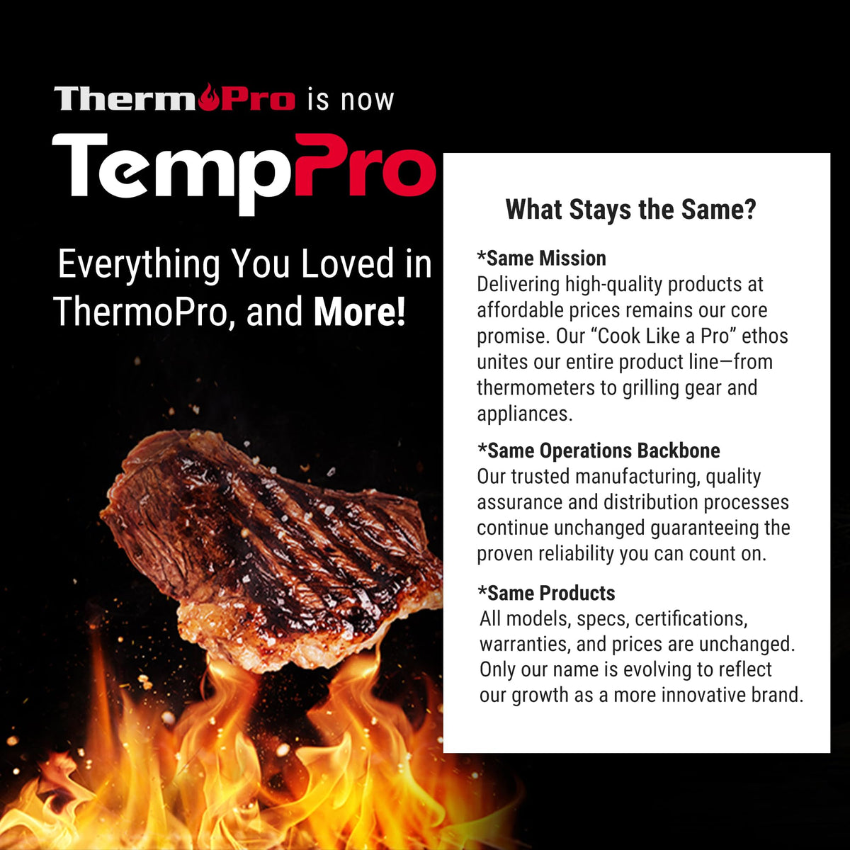 TempPro TP620 versatile thermometer for cooking and grilling